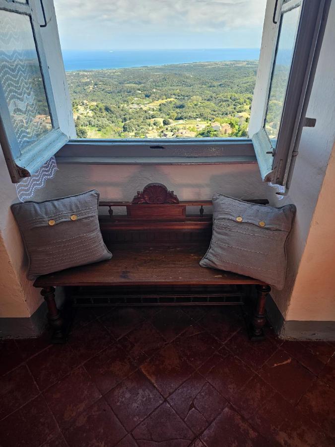 Palazzu Massoni, Magnifique Vue Sur La Mer Et La Montagne, Clim, Wifi, Parking Gratuit Cervione Bagian luar foto