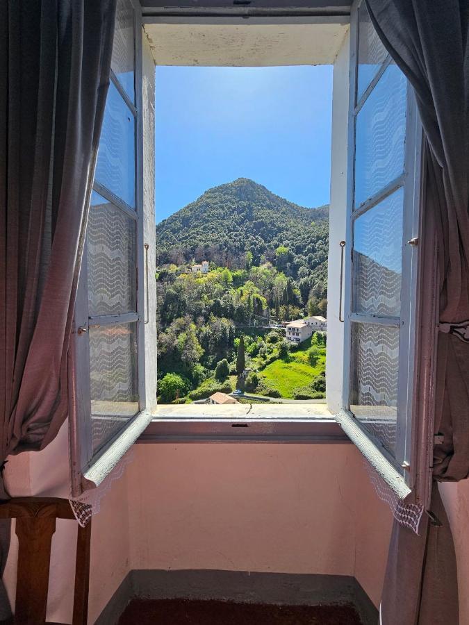 Palazzu Massoni, Magnifique Vue Sur La Mer Et La Montagne, Clim, Wifi, Parking Gratuit Cervione Bagian luar foto