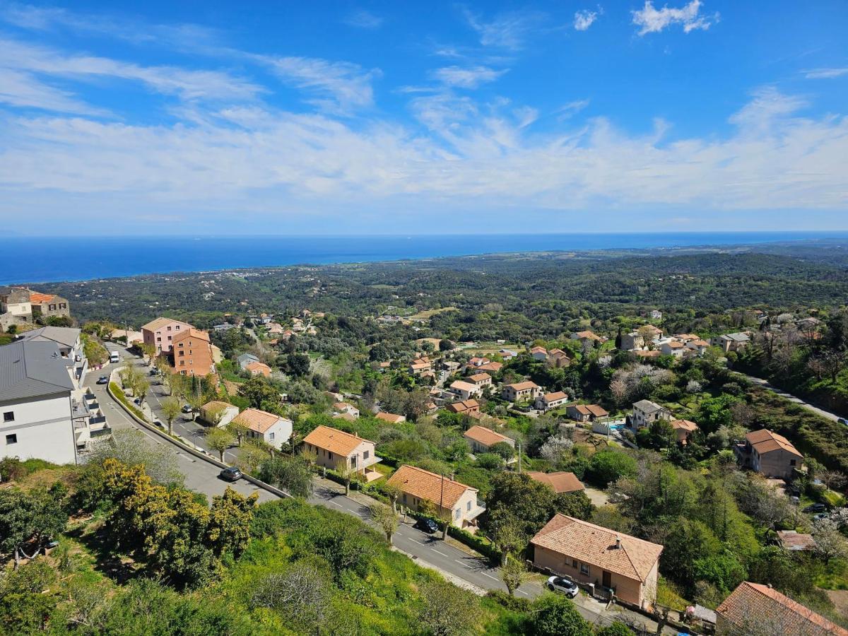 Palazzu Massoni, Magnifique Vue Sur La Mer Et La Montagne, Clim, Wifi, Parking Gratuit Cervione Bagian luar foto
